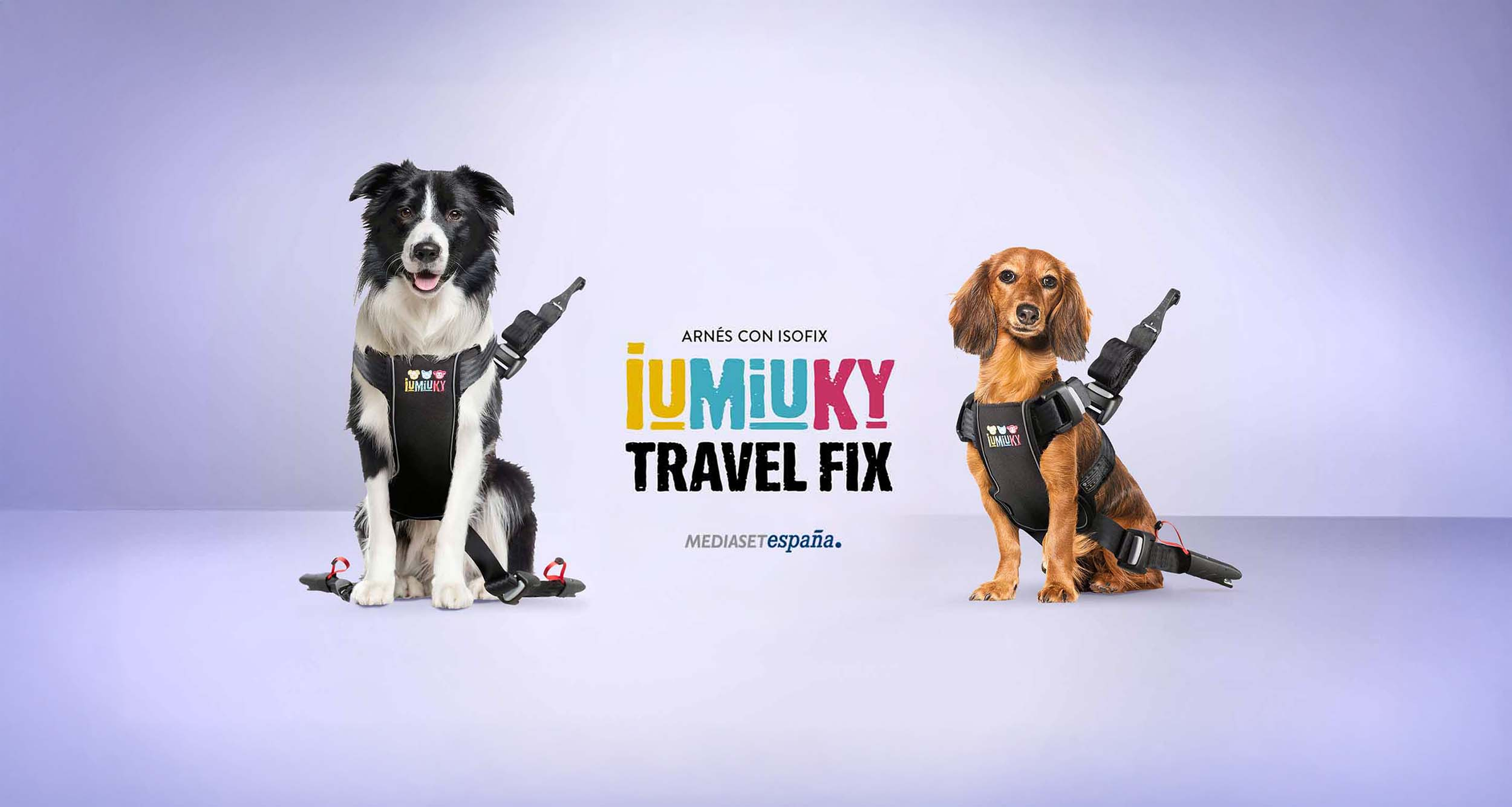 iumiuky