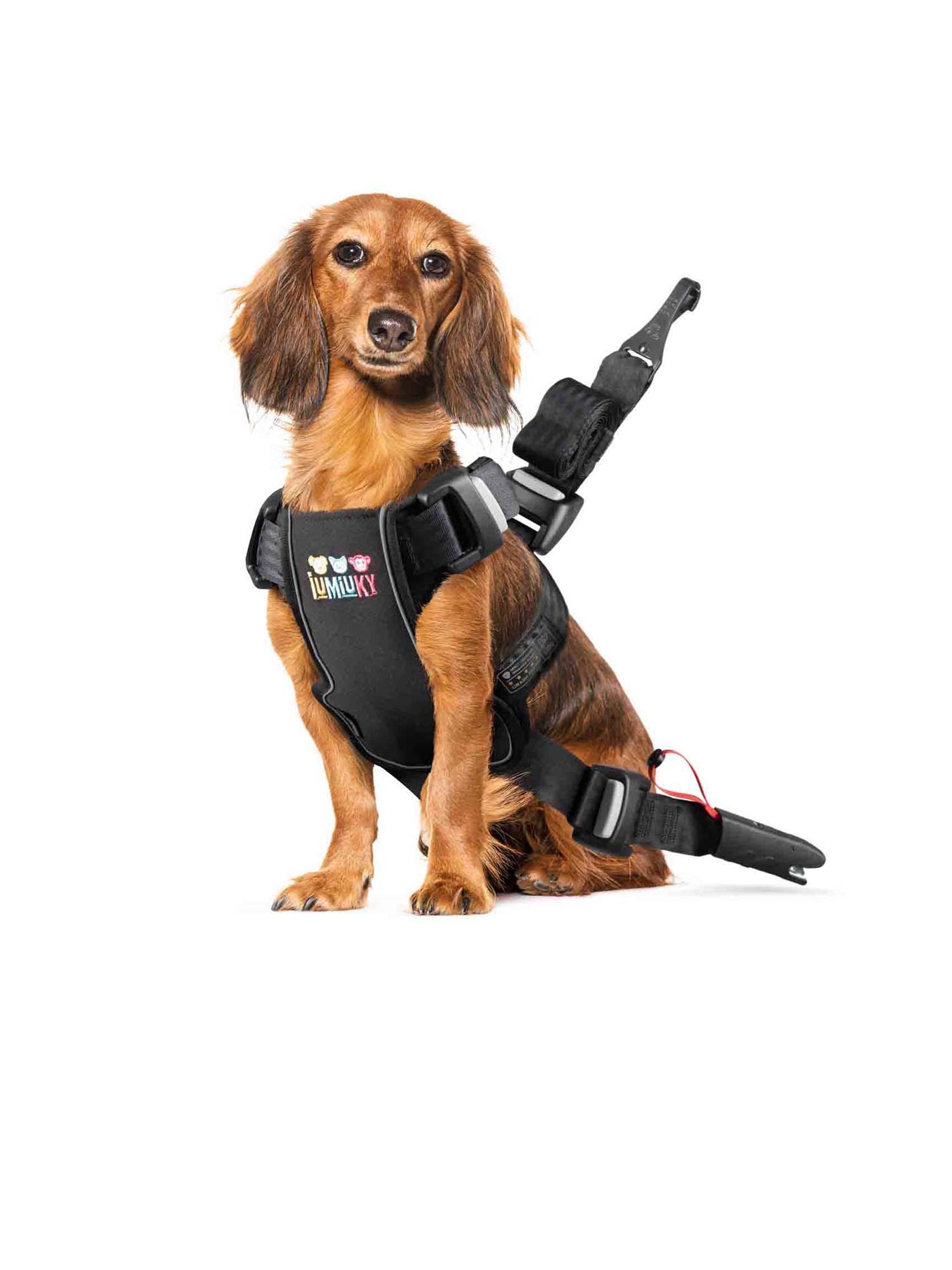 Arnés de perro Travel Fix • Talla S (<16 kg)
